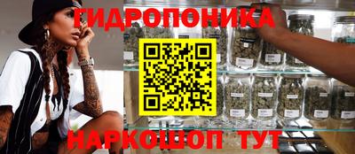 ALPHA PVP Сланцы