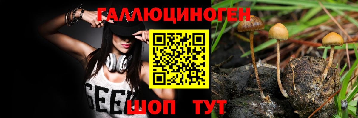 Красноярск  Галлюциногенные грибы Psilocybine cubensis  Псилоцибиновые грибы ЛСД  Вход с VPN 